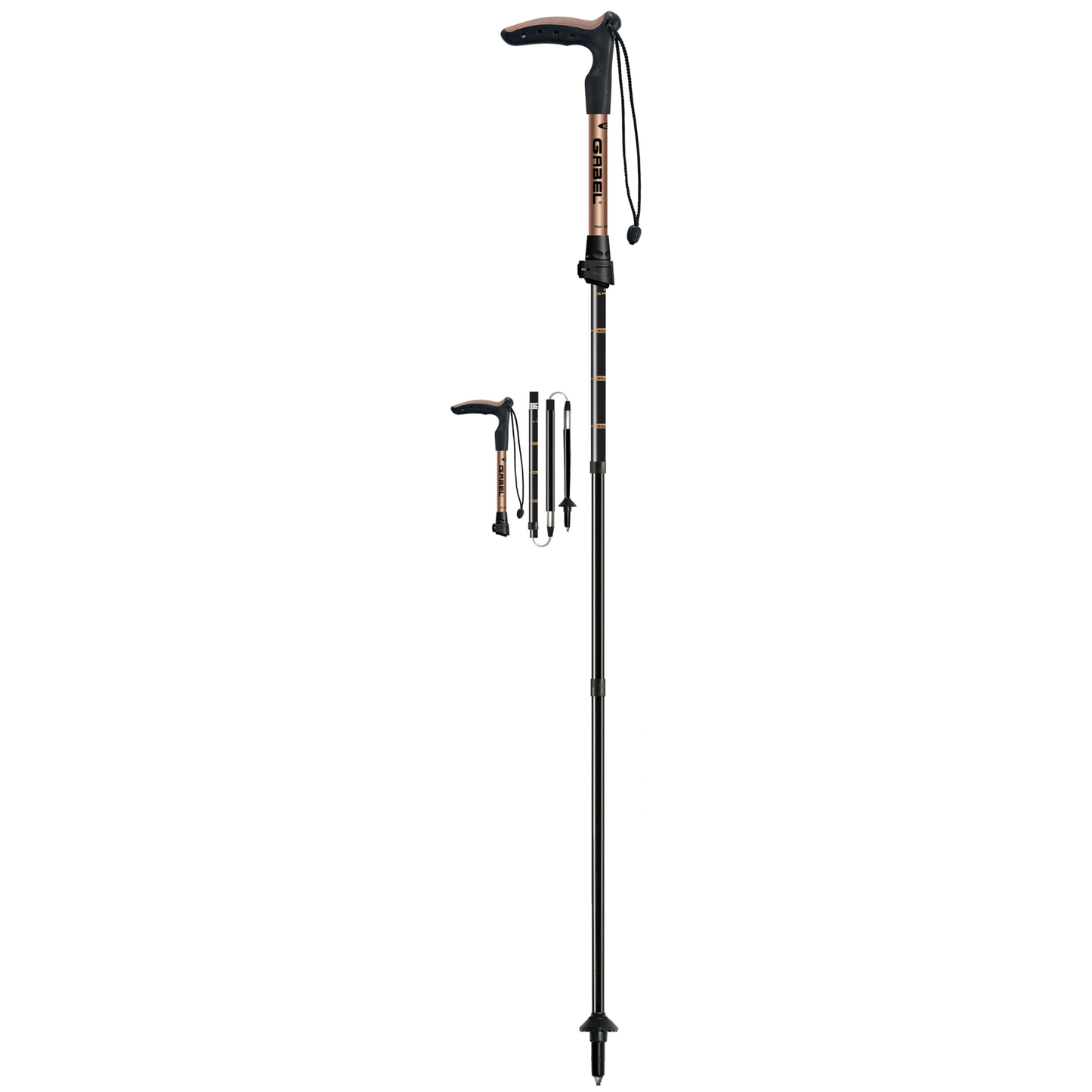 EXPLORER Wired FL XTS 80/95cm