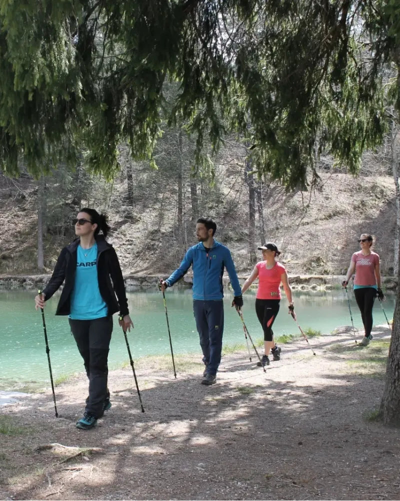 Nordic Walking Poles for All Levels of Nordic Walking